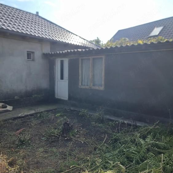 Casă cu 3 camere cu Teren 250 Mp în Lumina
