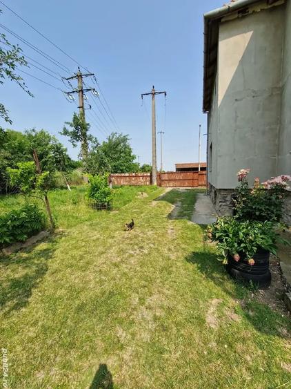Casă cu 6 camere cu Teren 4500 Mp în Torontalului