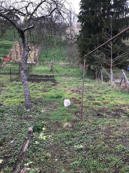 Teren de 983 mp, în Central