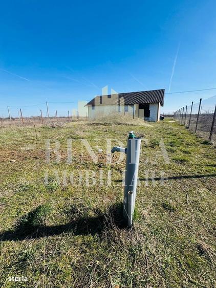 Teren intravilan Mosnita Noua 627mp+ constructie cadru metalic - 2