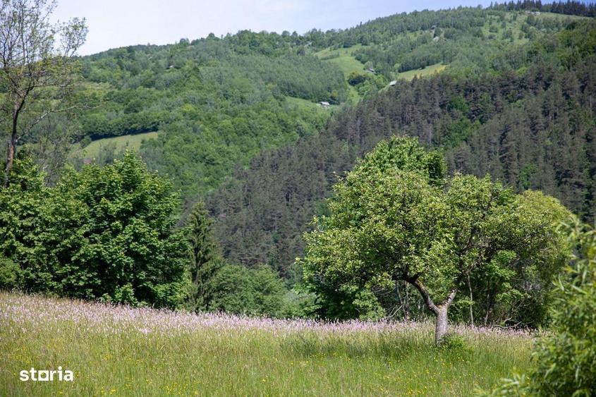 Teren intravilan - 1.050 mp in Bran cu utilitati priveli?te Bucegi - 8