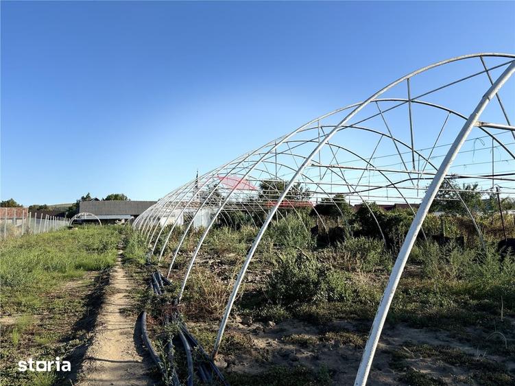 Casă cu 3 camere cu Teren 3500 Mp în Nimigea