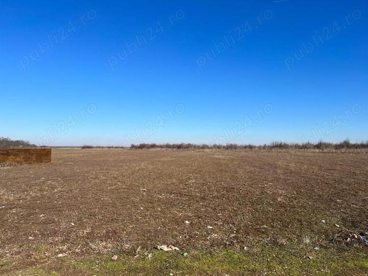 Teren de 40000 mp, în Letca Nouă