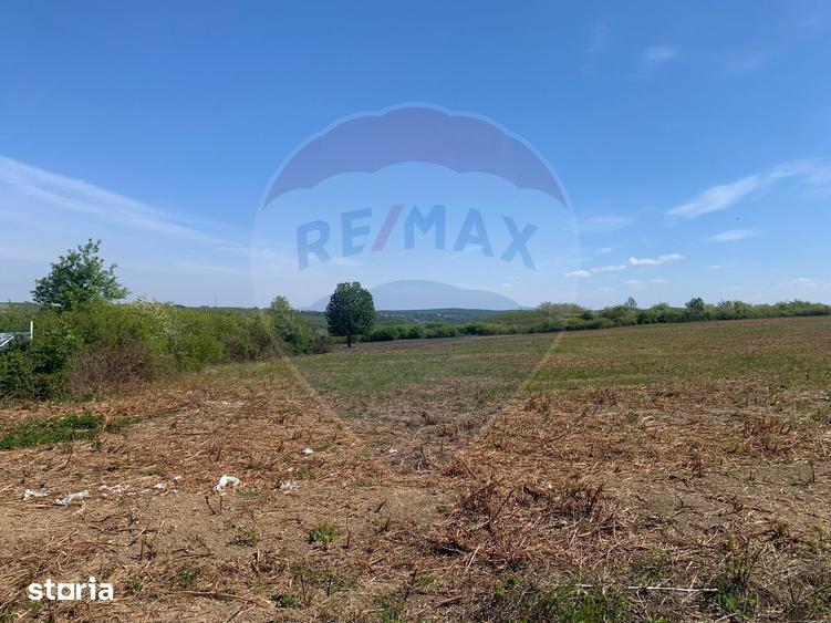 Teren de 1628 mp, în Paleu