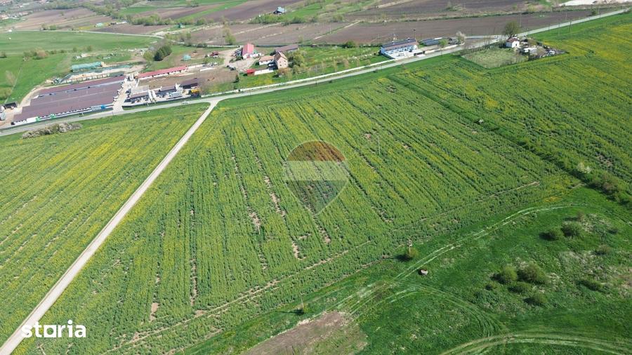 Teren de 192016 mp, în Central