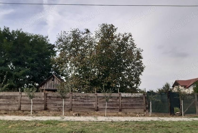 Teren de 1500 mp, în Nădab