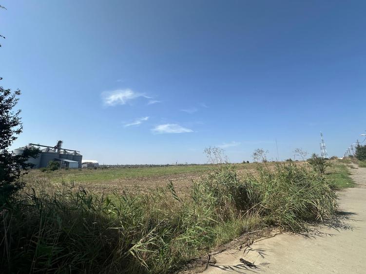 Teren agricol intravilan de 141210 mp, în Agigea