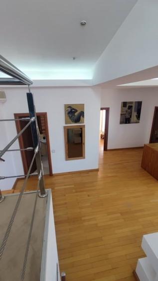 Apartament cu 2 camere nedecomandat, mobilat în Herăstrău