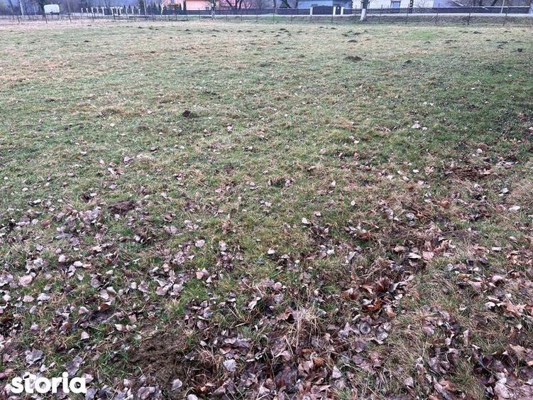 Teren de 3000 mp, în Horodnic