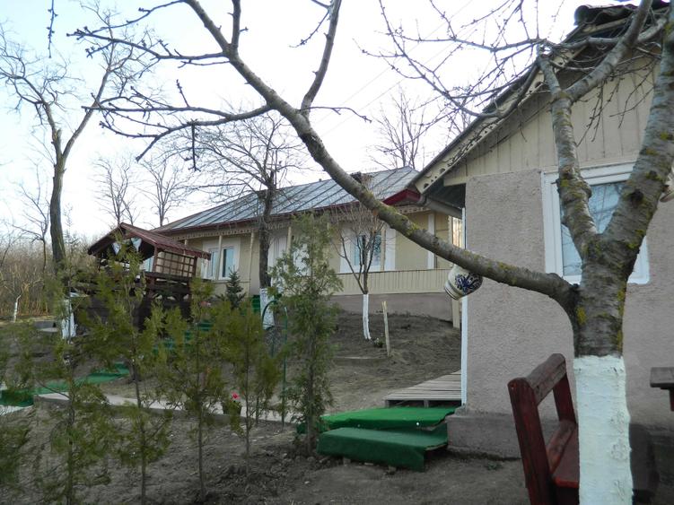 Casa langa primaria Probota - 3