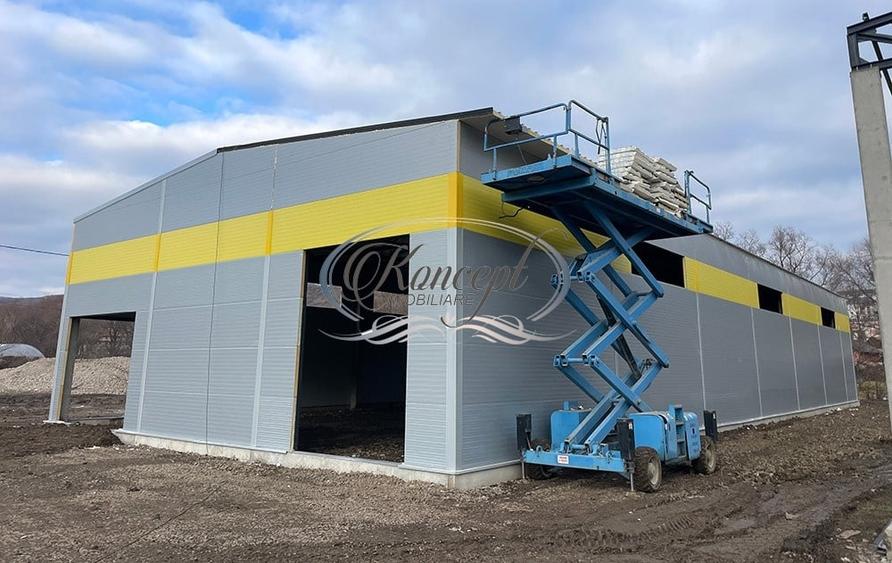 Spațiu industrial, de 599.75 mp, în Baciu
