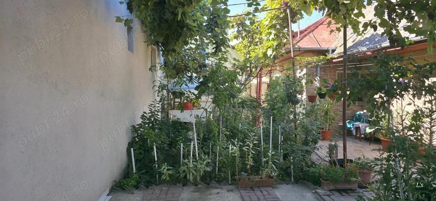 Casă cu 6 camere cu Teren 230 Mp în Viile Noi