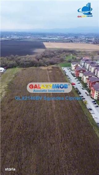 Teren Sanpetru Drumu Cu Plopi Ideal Dezvoltare Imobiliara - 4