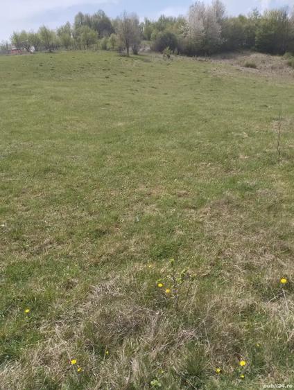 Teren de 3774 mp, în Ghelari
