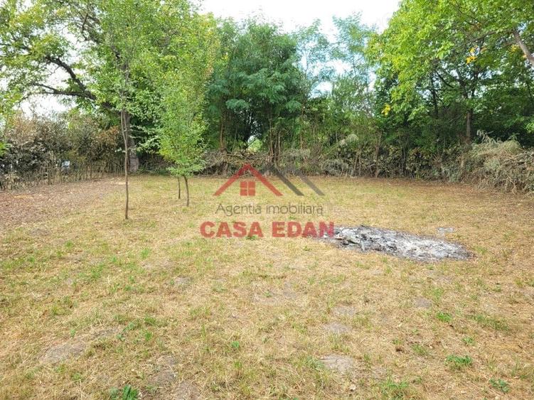 Casă cu Teren 2093 Mp în Bănești