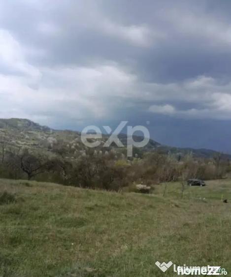 Teren de 4944 mp, în Tigveni