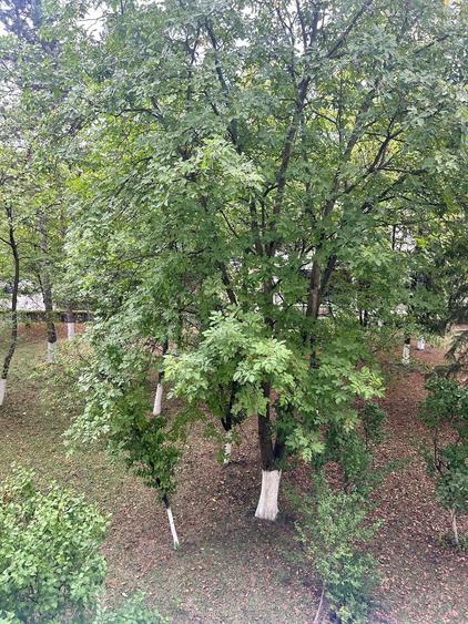 Garsonieră în Gheorgheni