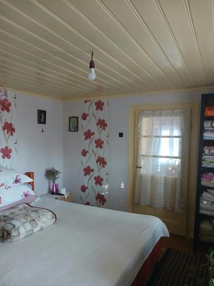 Vand Casa Provita de Jos - 5