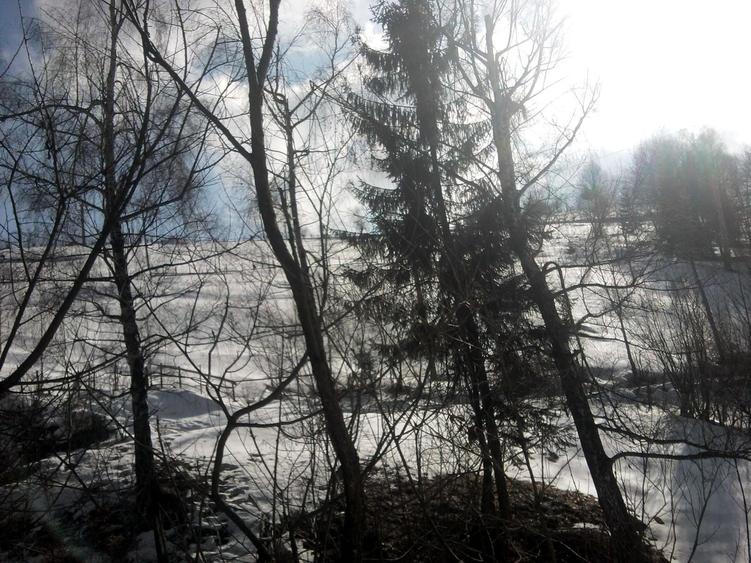Teren Construcții intravilan de 14000 mp, în Bran