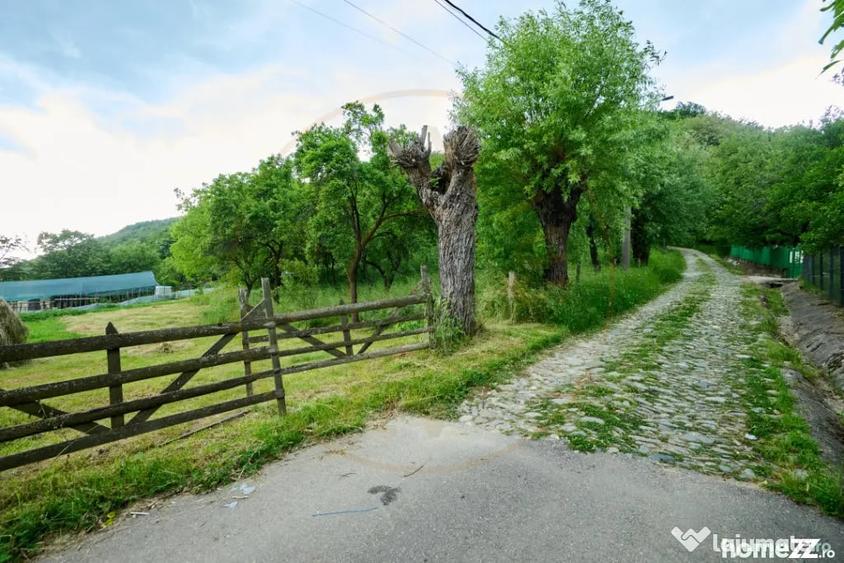 Casă cu 3 camere cu Teren 4696 Mp în Central