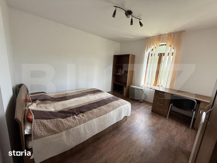 Teren de 37620 mp, în Vetiș
