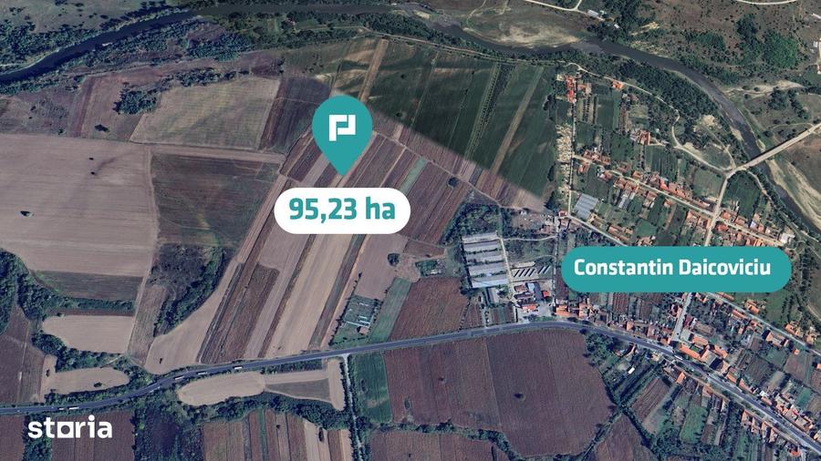 Teren de 952372 mp, în Constantin Daicoviciu