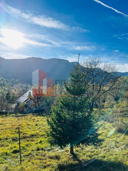 Teren Construcții intravilan de 1840 mp, în Bran