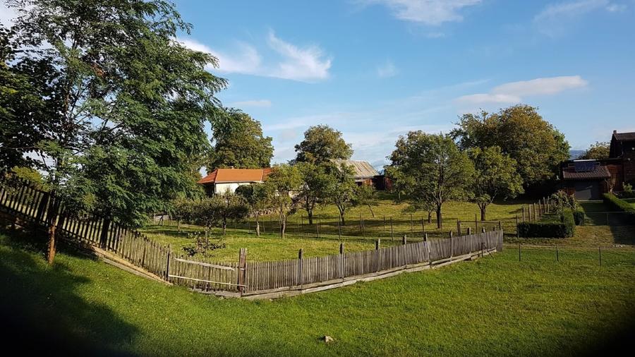 Teren agricol intravilan de 2400 mp, în Ibănești