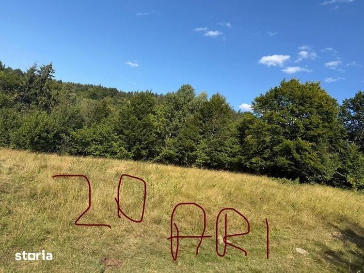 Teren de 2000 mp, în Vama