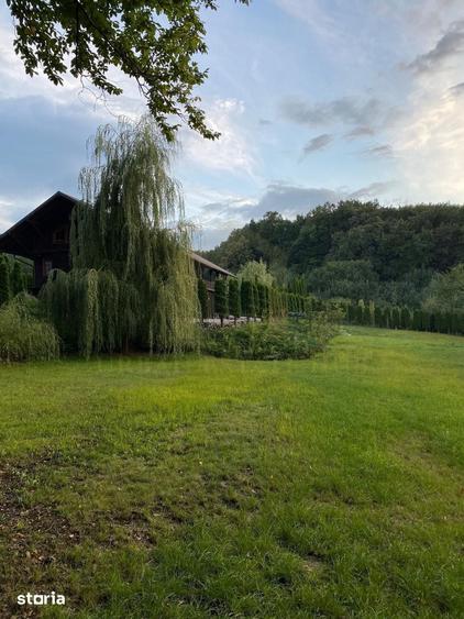 Vanzare teren 3000 mp, cabana, zona D D Rosca, Faget - 10