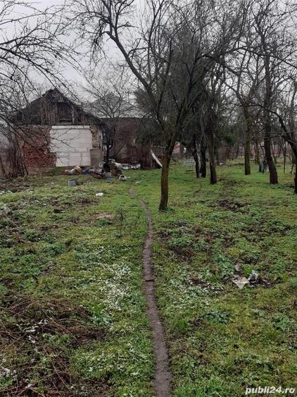 Teren în Călinești