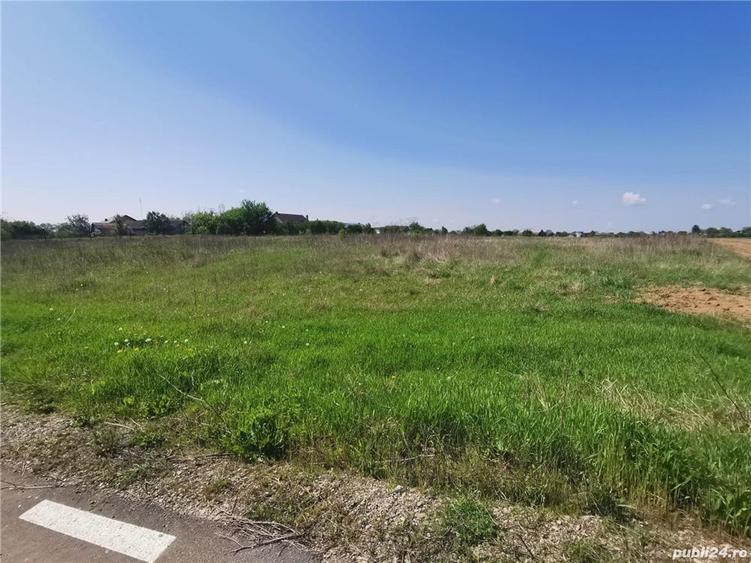 Teren de 4800 mp, în Cazaci