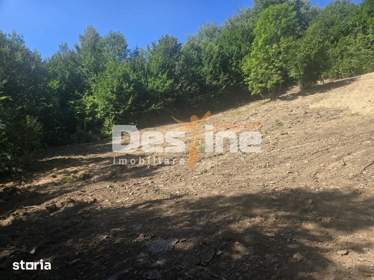 Teren Valea Doftanei, zona Pe Vale - Baraj Paltinu - 9