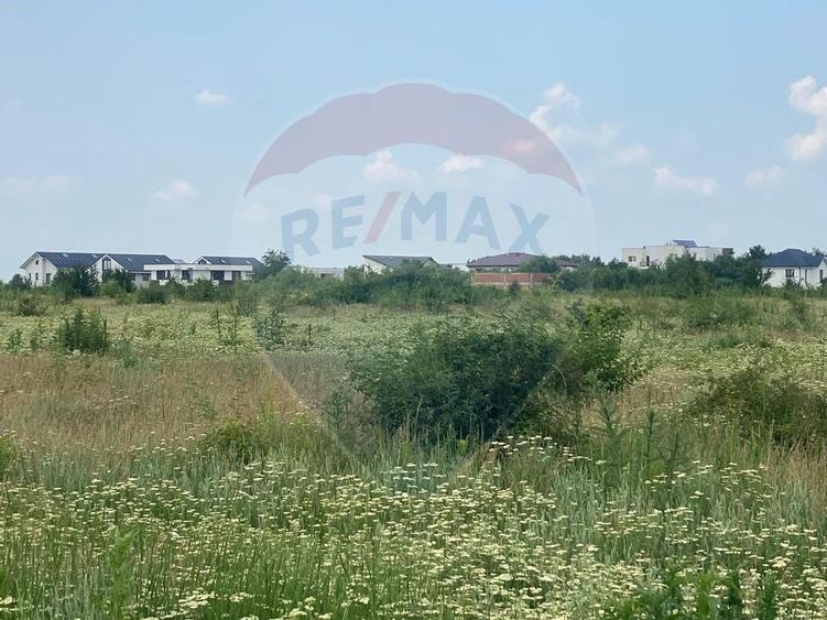 DE VANZARE Teren intravilan 600mp Drumul Piscul Mosului SISESTI - 12