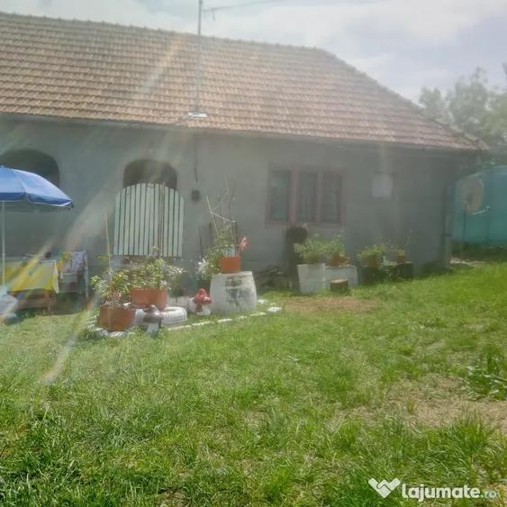 Casă cu 2 camere în Central