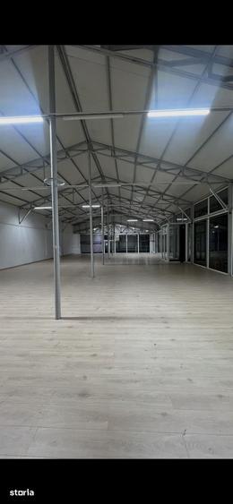 Spațiu comercial, de 350 mp, în Ion Creangă