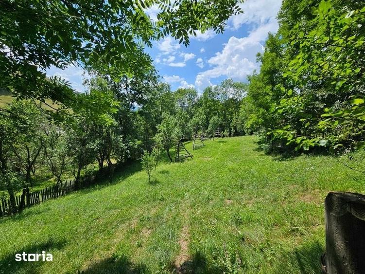 Teren intravilan Valea Doftanei - Malul Negrasului - 2