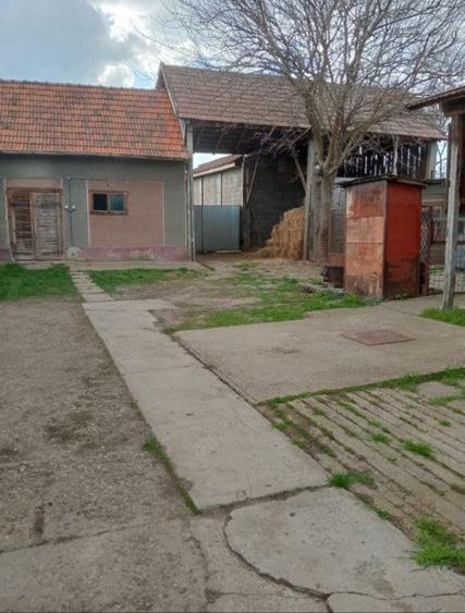 Casă cu 4 camere în Biharia