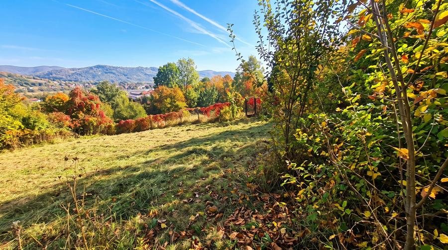 Teren Construcții intravilan de 1600 mp, în Capul Câmpului