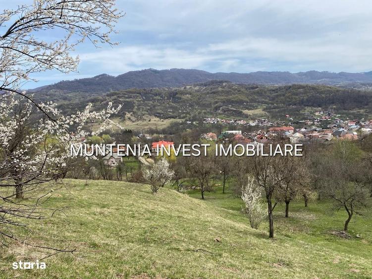 Spațiu comercial, în Albota