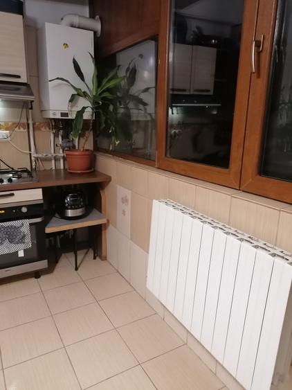 Apartament cu 2 camere semidecomandat în Olteni