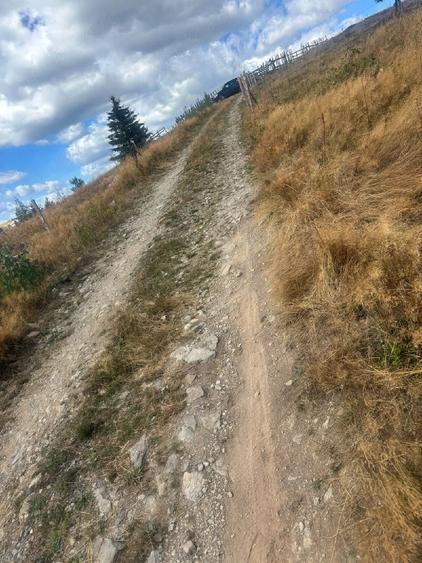 Teren de 5000 mp, în Măguri