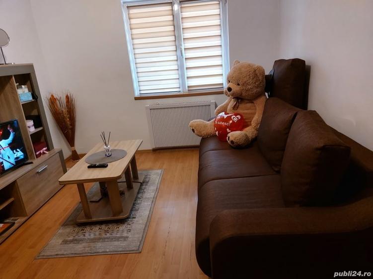 Apartament cu 2 camere semidecomandat în Brezoi