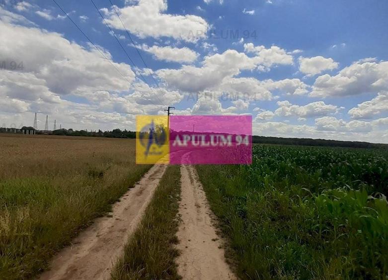 Teren Construcții intravilan de 715 mp, în Snagov