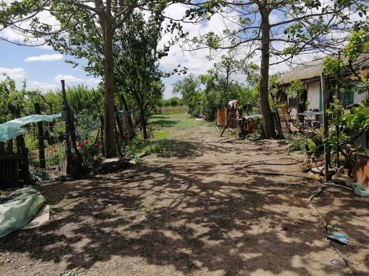 Casă cu 4 camere în Târnava