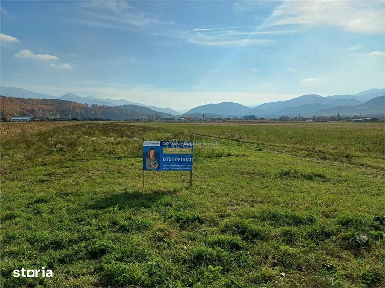 Teren de 10000 mp, în Tălmaciu