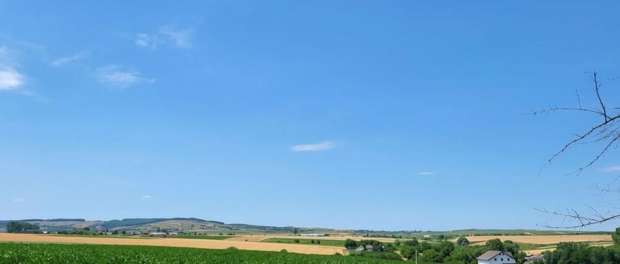 CASA cu TEREN 7.3 HECTARE INTRAVILAN in Zvorastea Suceava - 4