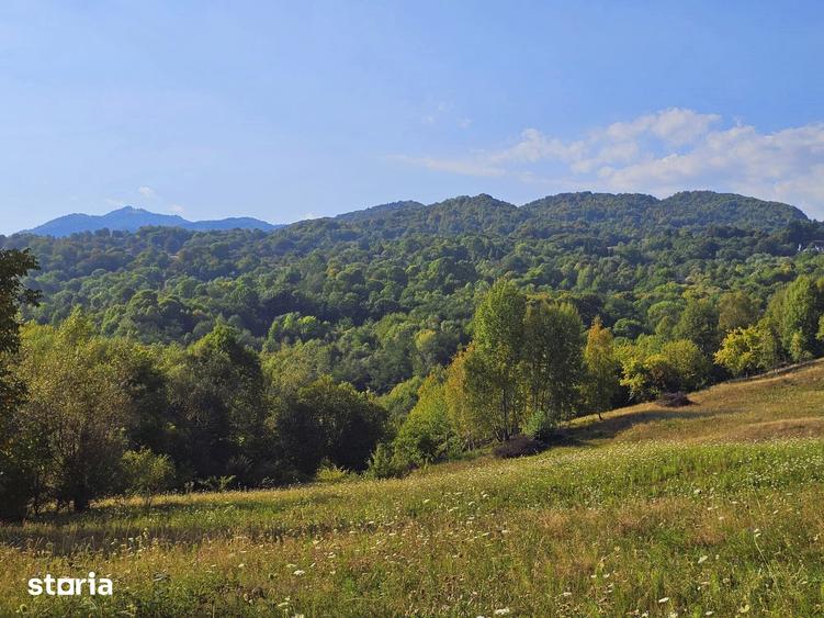 Teren de 6262 mp, în Nucșoara