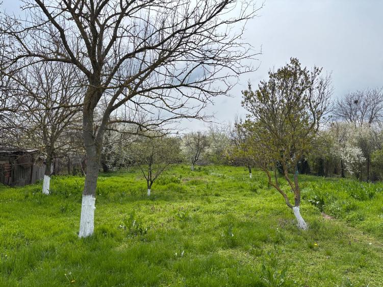 Casa de vanzare in Bulbucata, Giurgiu 30 km de Bucuresti - 8