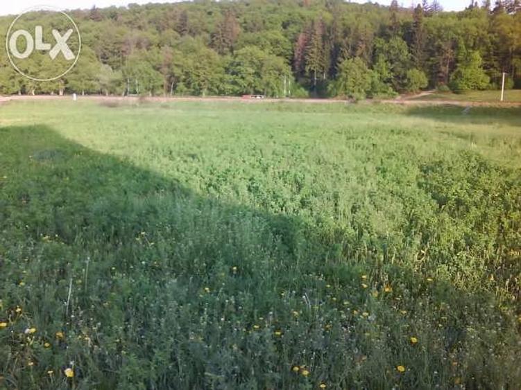 Teren de 1381 mp, în Cristian